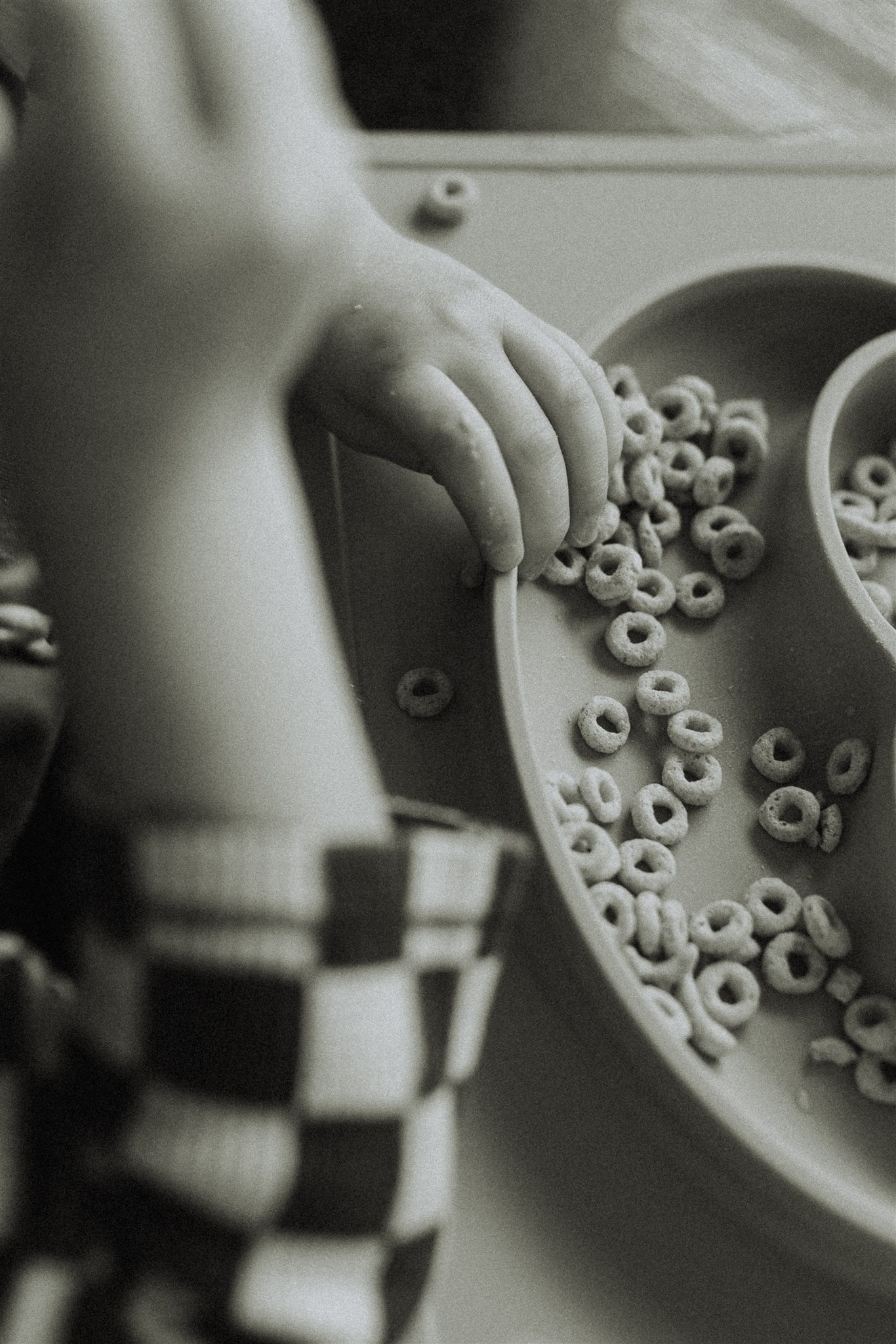 close up photo of a little boys hands grabbing cheerios that are on his plate. Taken by a langley family & newborn photographer