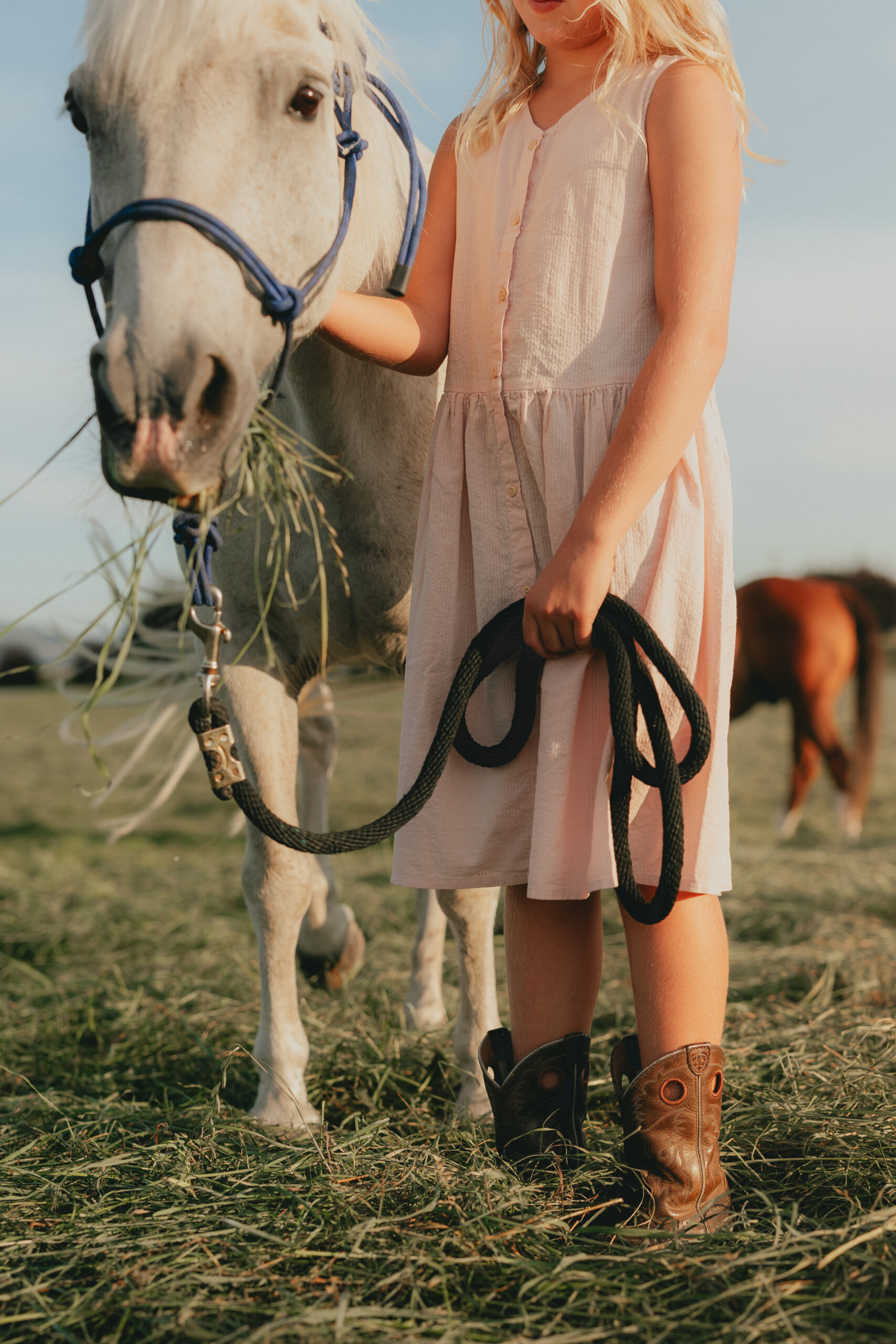 Photo of a horse eating grass while a little girl holds the horses lead and stands beside it