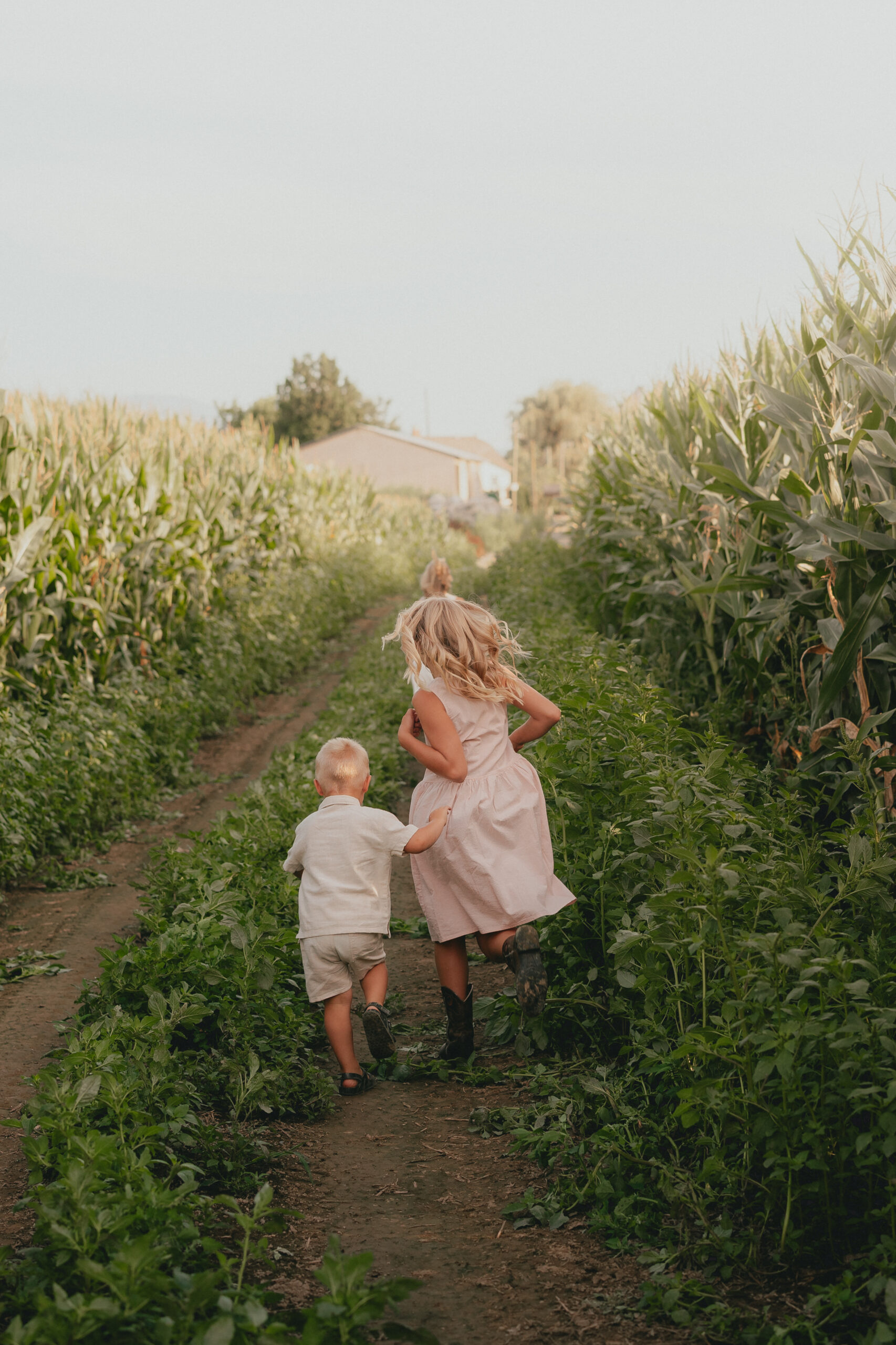 Photo of a young girl and boy running through a cornfield.