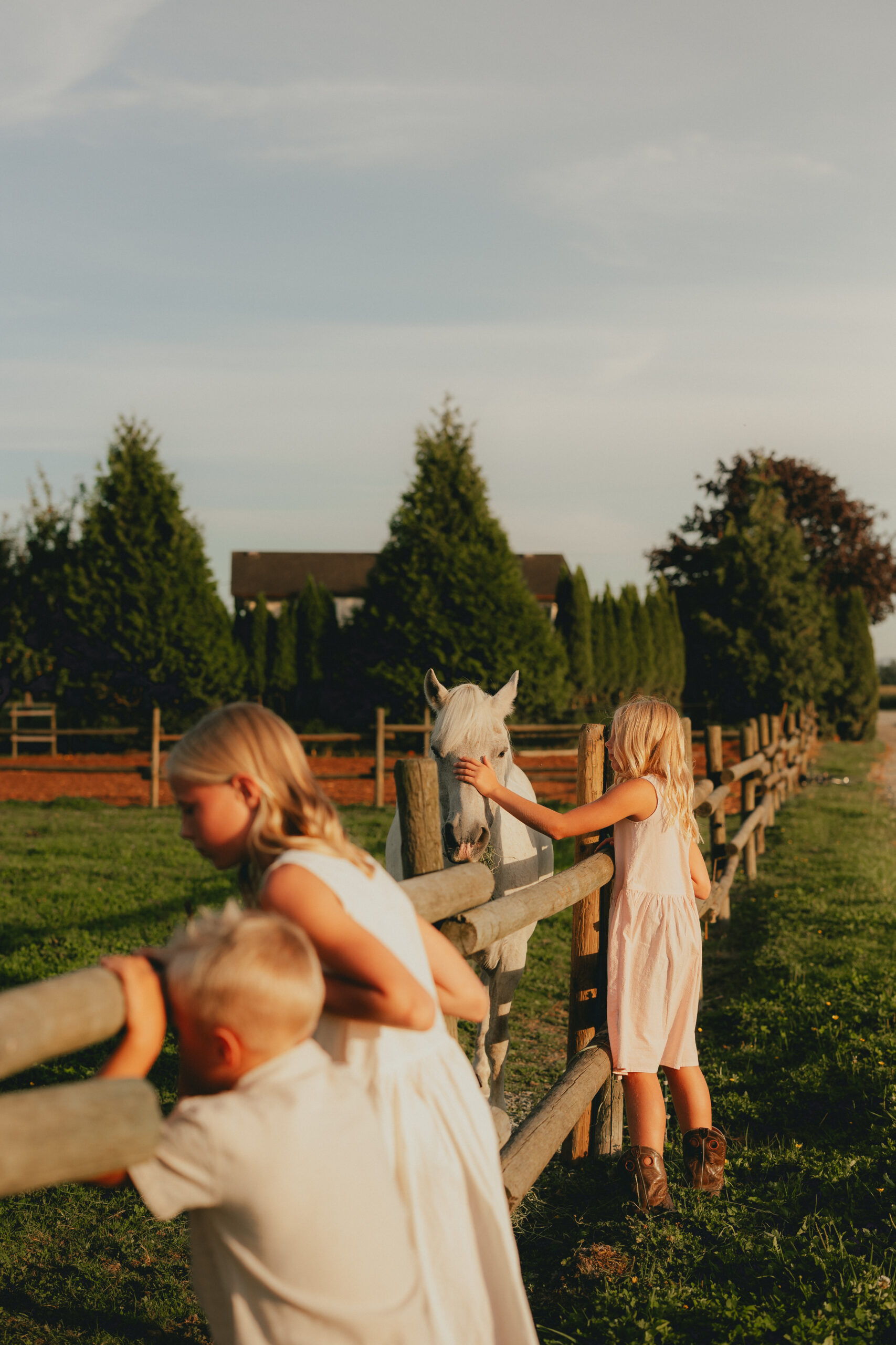 Photo of children looking over a wooden fence on a farm while one pets a horse for a blog about abbotsford pumpkin patches