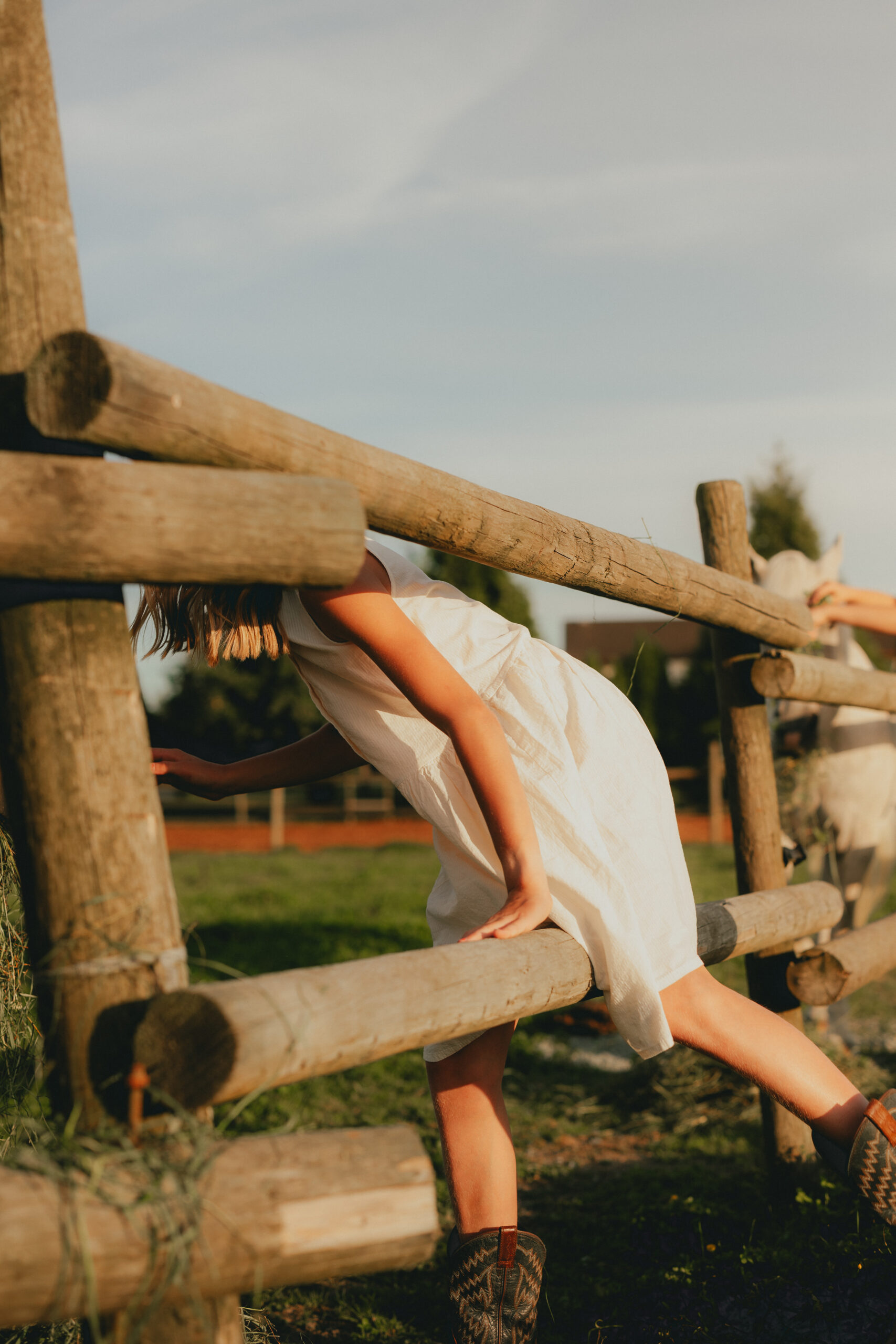 Photo of a girl climbing through a wooden fence on a farm